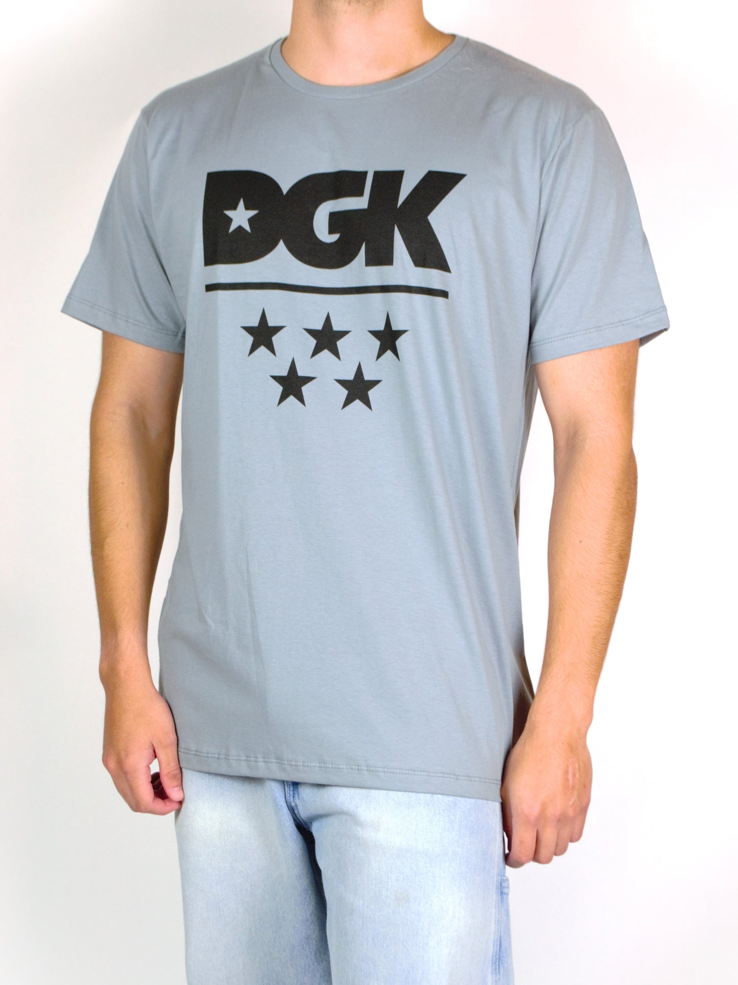 Dgk Logo Tee Titanium